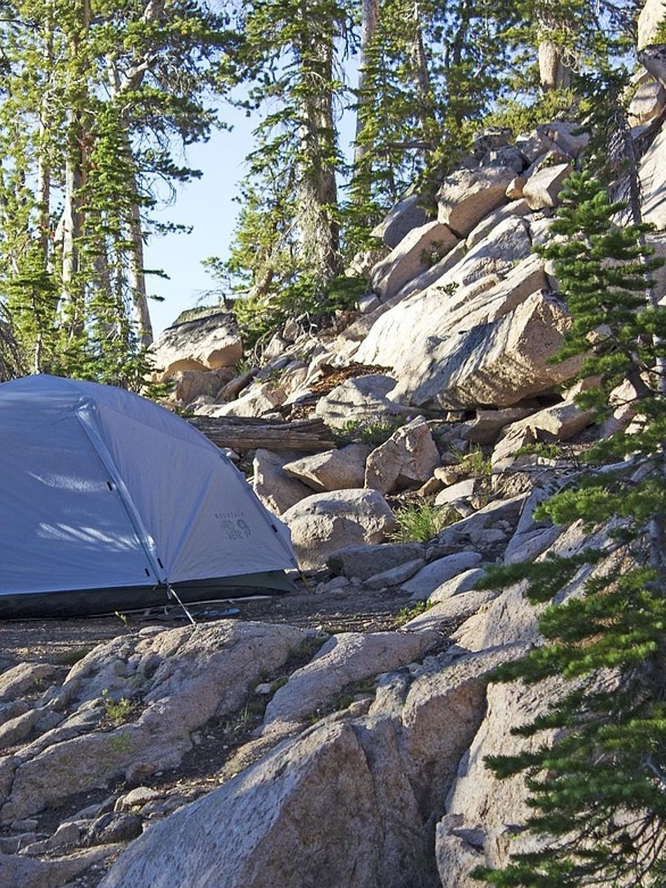 Master the art of campfire cooking by water